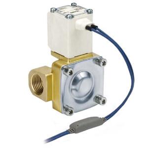 VXD2*5, Pilot Operated, 2 Port Solenoid Valve for Heated Water