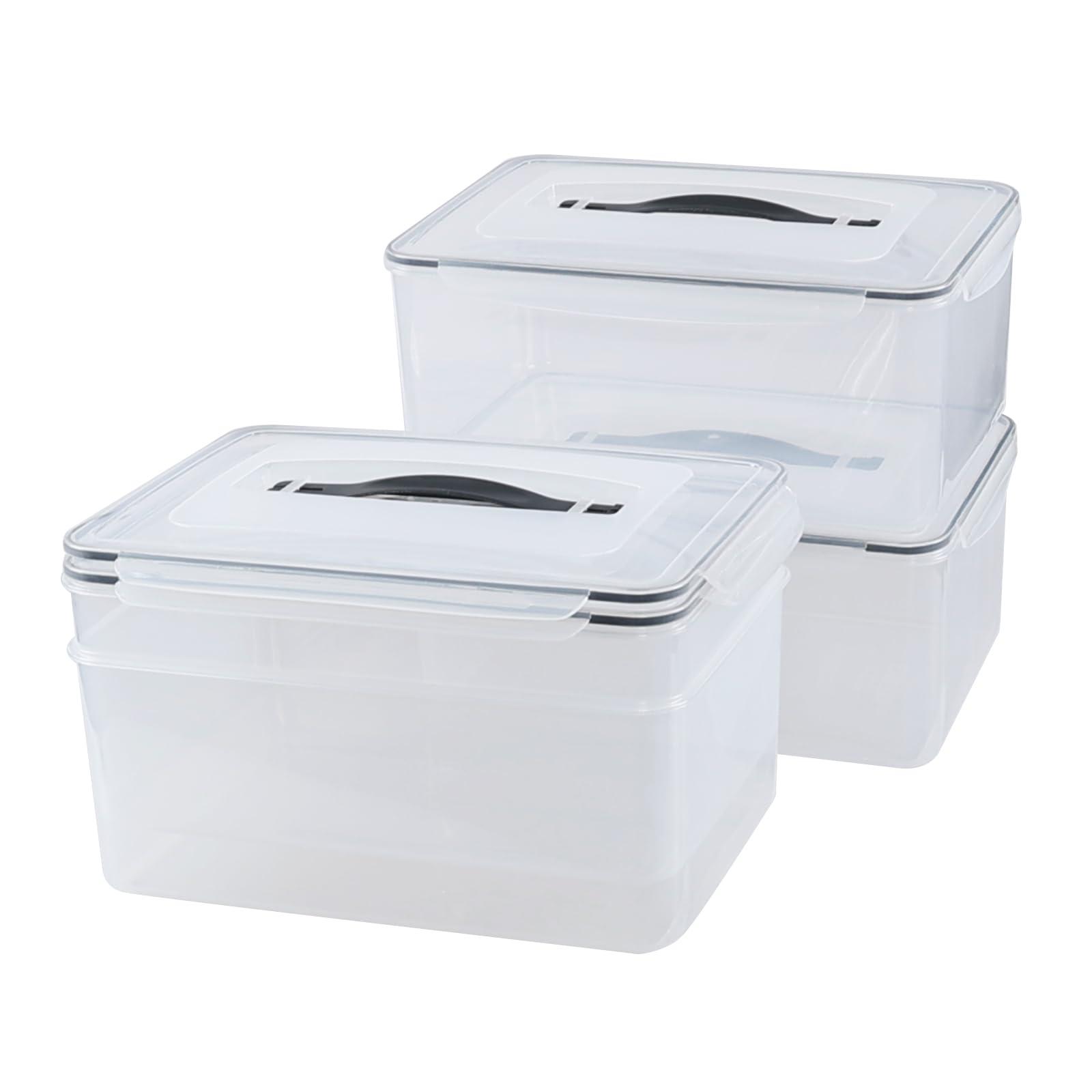 Lesbin 15 L Clear Airtight Rectangular Storage Container for Food, Set of 4 Plastic Clear Food