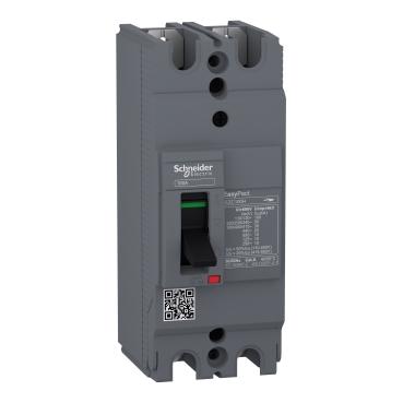 SCHNEIDER, EZC100H2060, CIRCUIT BREAKER,EASYPACT EZC100H ,TMD, 60A ,2 POLES 2D, 0.7KG